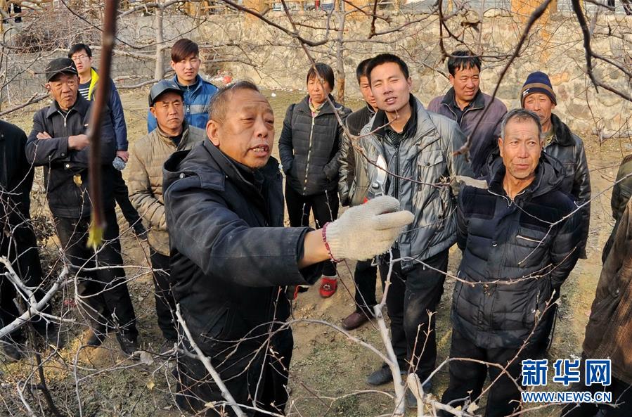 （新華全媒頭條·圖文互動）（8）鍛造領航復興的中流砥柱——寫在“不忘初心、牢記使命”主題教育即將啟動之際