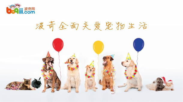 發現中國下一個BAT  寵物服務平臺波奇網上榜