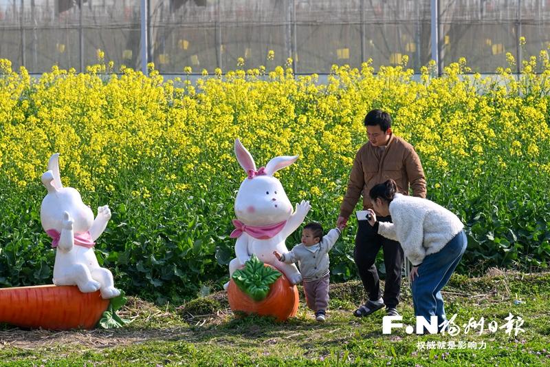 福州百花盛開，“賞花經(jīng)濟(jì)”如何持久綻放？